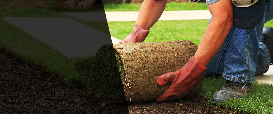 North Lakewood Landscapers